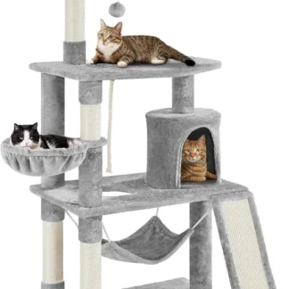 cat beds
