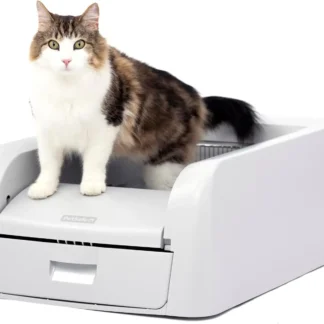 litter boxes