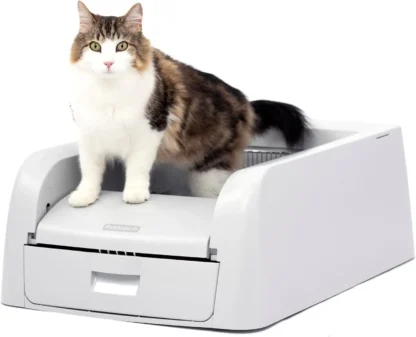 litter boxes